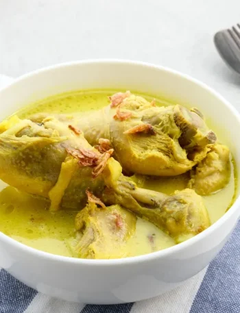 Opor ayam gurih dengan kuah kental santan dan taburan bawang goreng
